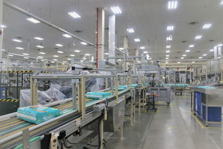 幫寶適蘿崗工廠(chǎng)五周年 聚合全球優(yōu)勢(shì)資源,更好服務(wù)中國(guó)家庭