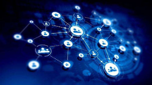 攜手共贏 種植戶與水溶肥生產(chǎn)廠家技術(shù)合作的新趨勢(shì)